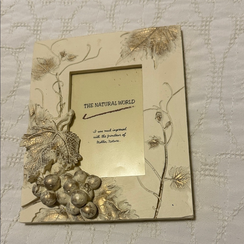 Cream and Gold Leaf Picture Frame